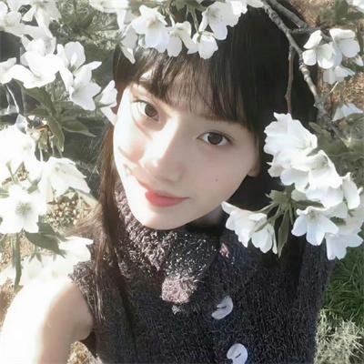 及格人生2024